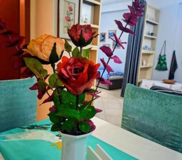 Shkoder Apartment | Panoramic apartment
