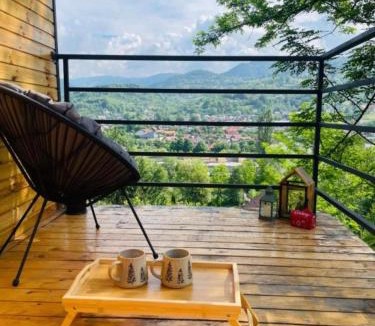 Viseu de Sus Ski Chalet | Panoramic Box