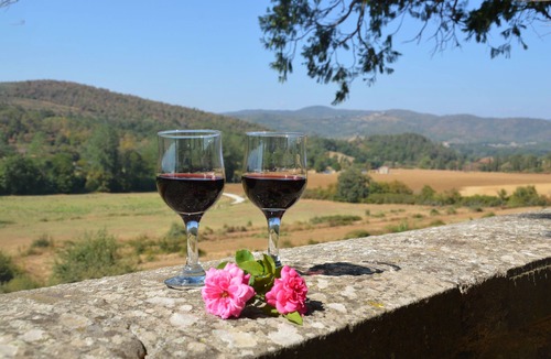 Bucine Villa | Panoramic charming villa, pool, wi-fi, cooking lesson, weddings