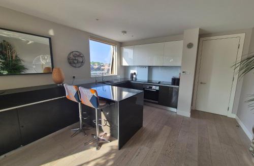 Clapton Apartment | Panoramic Pondview Penthouse