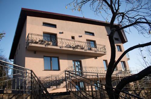 Baia-Sprie House | Panoramic