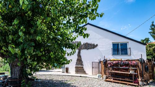 Cortandone Bed & Breakfast | Panoramic Scenic View da Lusi - Pet Friendly