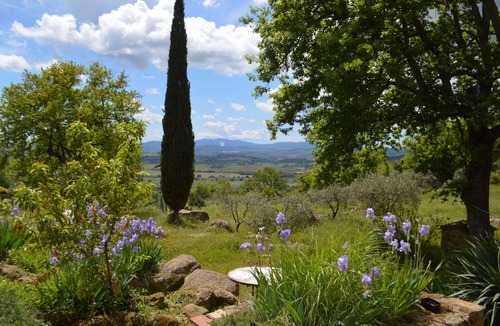 Roccastrada Villa | Panoramic Sea Views Immersed in Nature Quiet Peaceful Private Villa Retreat