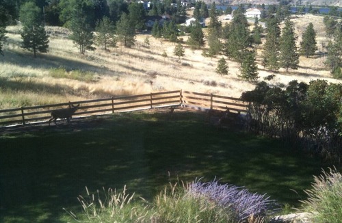 Okanagan-Similkameen House | PANORAMIC SKAHA LAKE VIEW AND ACCESS HOME