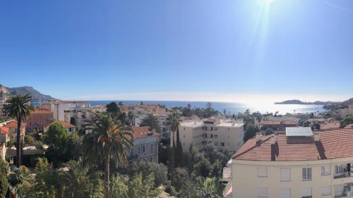 Beaulieu-sur-Mer Apartment | * Panoramic Top Roof in Beaulieu *