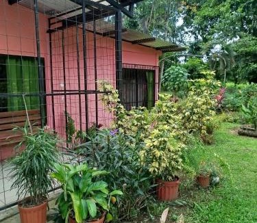 Alegria House | Paraíso Verde