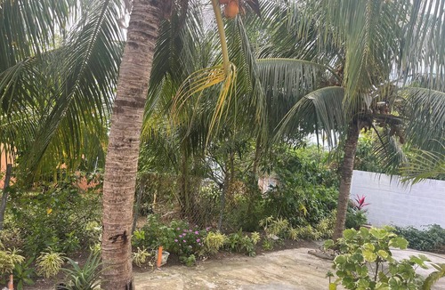 Saint John Parish Apartment | Paradis Des Palmiers 4 Gorgeous 2-bedroom flat