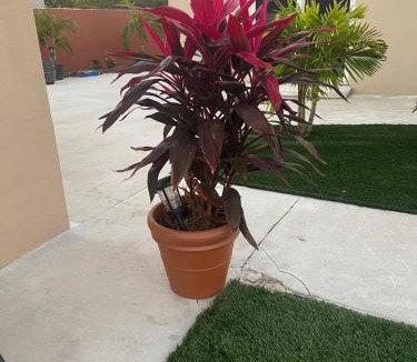 Golden Glades House | Paradise Oasis3