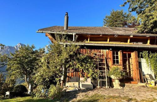 Rougemont Ski Chalet | Paradise View - 5 BR Gstaad Paradise View Chalet with Outdoor Jacuzzi