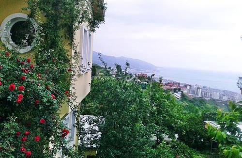 Akcaabat Villa | Paradise Villa Trabzon