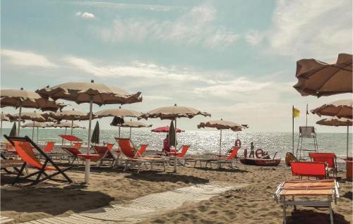 Cecina House | Paradiso
