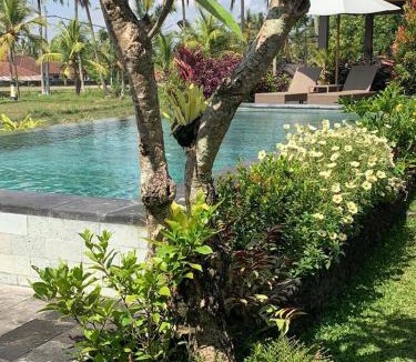 Pejeng Kawan House | Paraiso Cottage Ubud