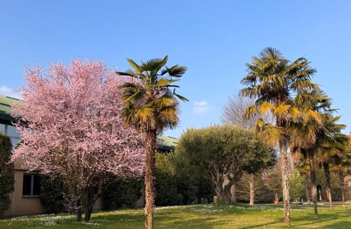 Sassi Hotel | Parco Hotel Sassi