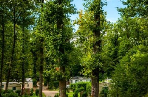 Saint-Cheron House | Parenthèse en forêt