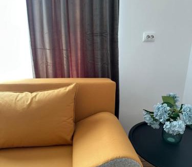 Baia Mare Villa | Park House