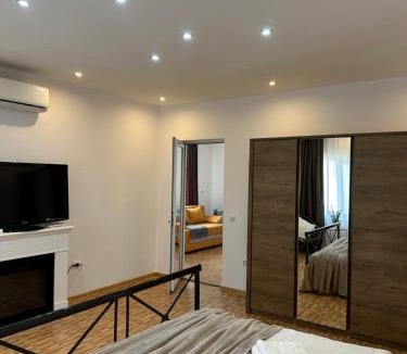 Baia Mare Villa | Park House
