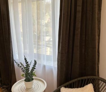 Baia Mare Villa | Park House