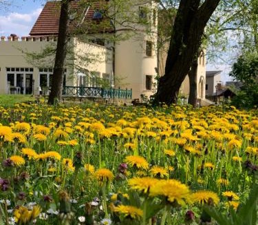 Maasdorf Hotel | Parkschlößchen Hotel