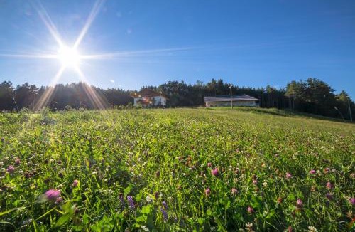 Castelrotto House | Parlunkhof