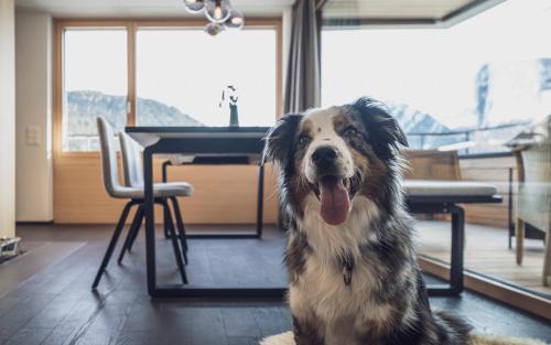 Davos-Dorf Apartment | Parsenn Resort