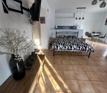 Pythagorio Apartment | Parthenis appartments