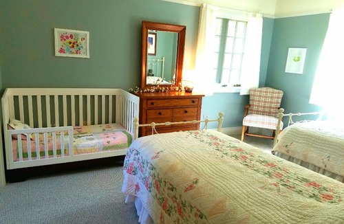 Hot Springs House | Partial Proceeds to Make A Wish Foundation and Non-Profit Wildlife Rescue Group
