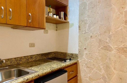 Zona Colonial Apartment | Paseo Colonial - Ermitage #5