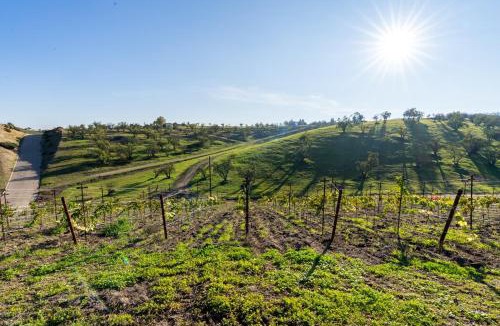 Paso Robles Villa | Paso Robles Wine Country Stay, Pool and Views