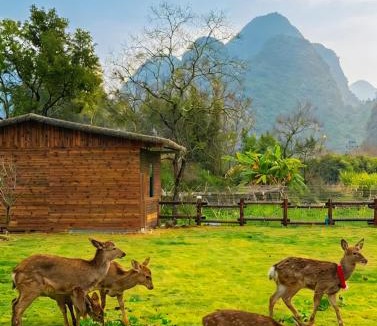 Yangshuo Hotel | PastForward Deer Luxury Maison & Café at Yulong River - Where past meets present, with deers by Karst view - Infinity pool & Rooftop Terrace - Complimentary Pick-up for Stays of 3 Nights
