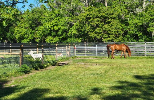 Greater Northdale Apartment | Pasture & Pond Views: Lovely Lutz Apartment