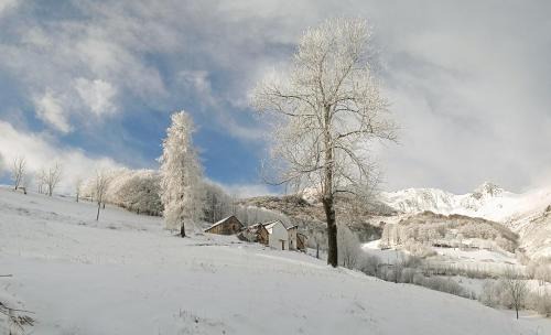 Limone Piemonte House | Patatouc Country House - 15 minuti di cammino da Limonetto
