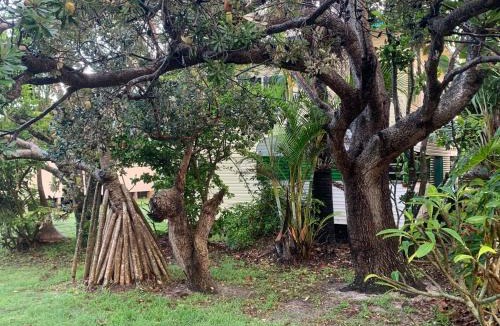 Patchs Beach Apartment | Patchs Beach Shack
