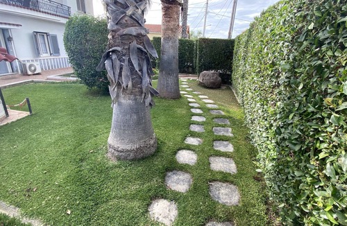 Paralia Apartment | Patras Palm Tree