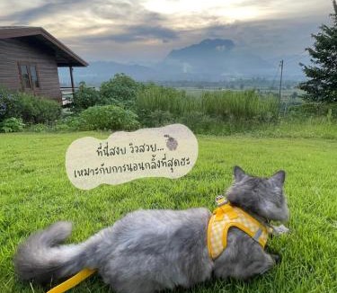 Chiang Dao House | PATTA Hideaway Chiang Dao