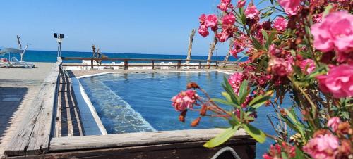Patti Resort | Patti Beach Resort