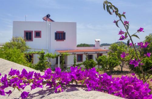 Sant Antoni de Portmany Villa | Pau de Baix