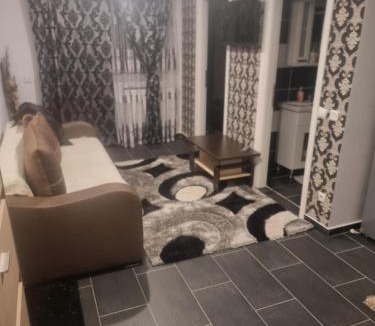 Curtea De Arges Apartment | Paula