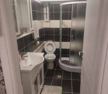 Curtea De Arges Apartment | Paula