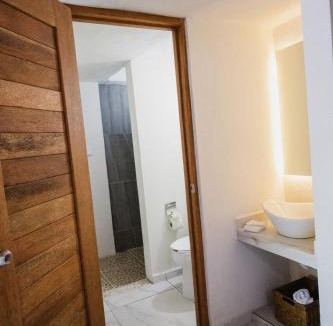 Ixtapa Apartment | Paulas Suites Terraza