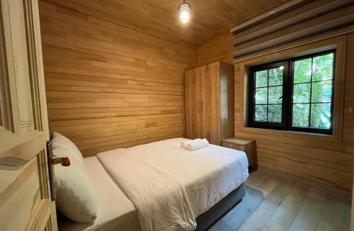 Uzungol Apartment | Paye Suite