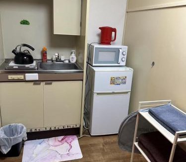 Hiroshima City Centre Hotel | Peace Wing 3C