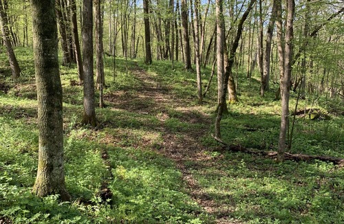 Waterville House | Peacefield: a serene retreat in Northeast Iowa with boundless adventure.
