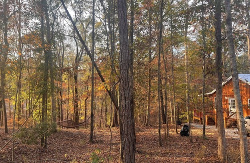 Ramer Cabin | Peaceful 2BR cabin between Montgomery & Troy, AL with trails and stocked pond