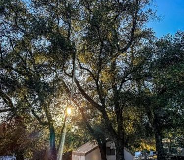 Pauma Valley Other | Peaceful Affordable Glamping Tent with Scenic Nature Views near San Diego in Pauma Valley, California