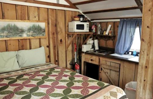 Christopher Creek House | Peaceful and Pet Friendly Studio Cabin in Payson, Arizona, Perfect for a Glamping Weekend