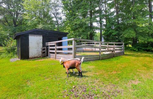 Chester House | Peaceful Brookside Getaway ~10 Mi to Okemo Slopes!