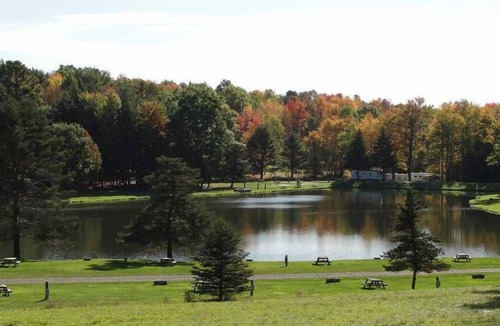 Endicott House | Peaceful Cabin Escape! Free Parking, Water Sports Activities!