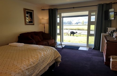 Cambridge Cottage | Peaceful Cottage with Idyllic Sunset Views in Cambridge, Waikato