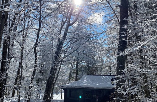 Havelock-Belmont-Methuen Cottage | Peaceful Forested Riverside Cottage with a Hot Tub, Cozy Vibes & Pets Welcome