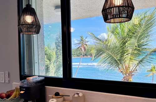Estate Bolongo Condo | Peaceful Oceanfront Oasis.Pool, Walk to beach, generator backup!